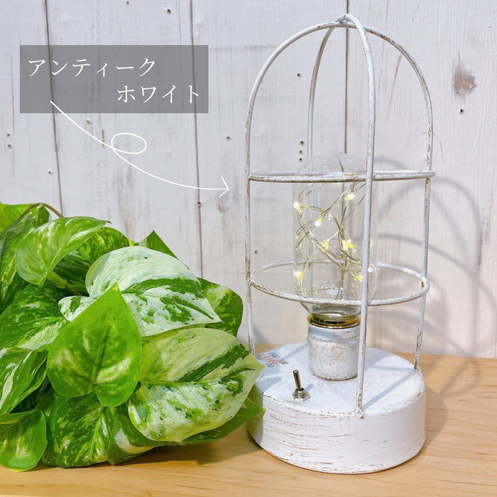 画像1001
