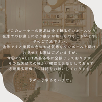 画像10233