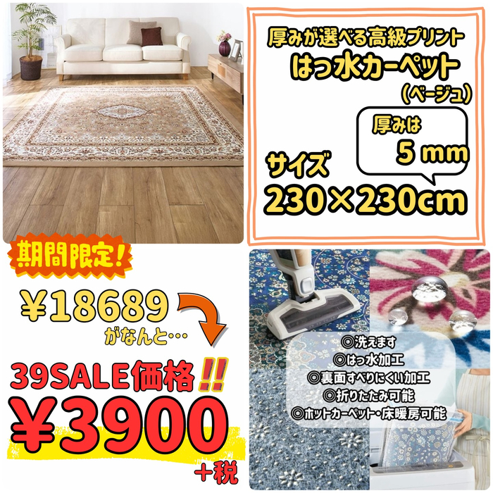 画像10242