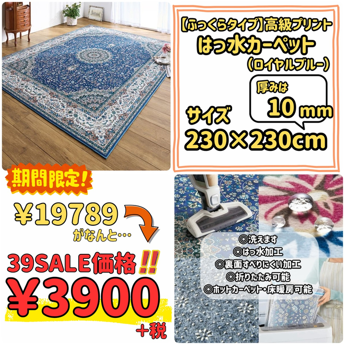 画像10243