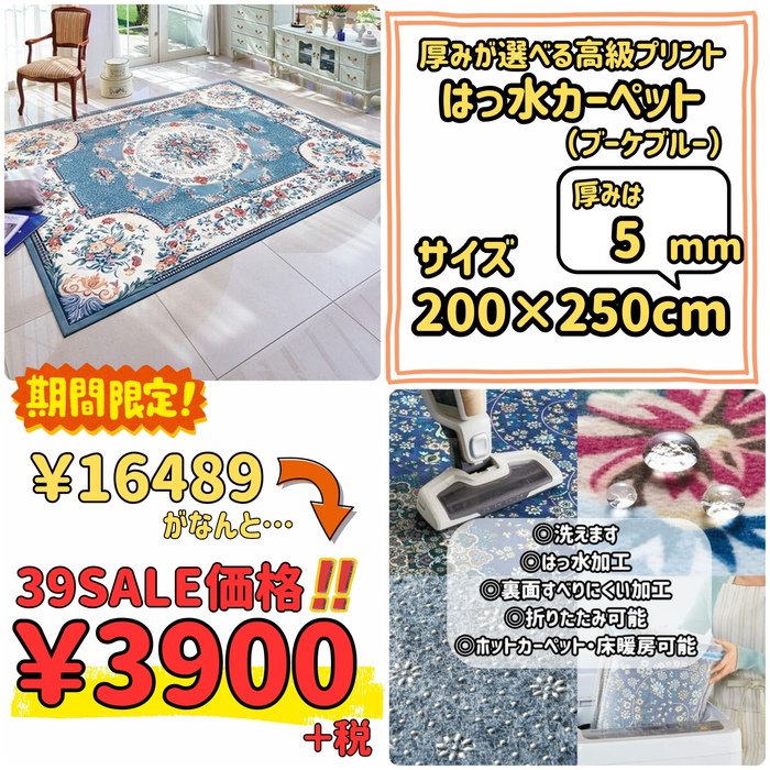 画像10244