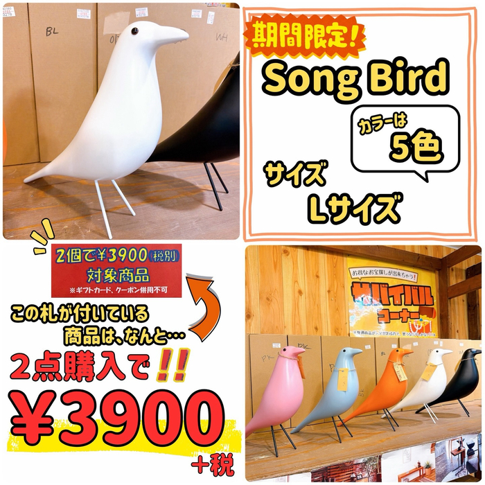 画像10282