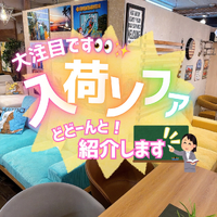画像10637