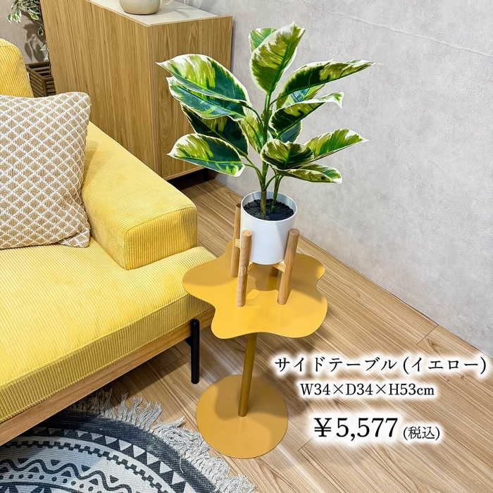 画像10699