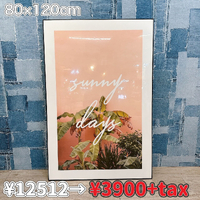 画像1168