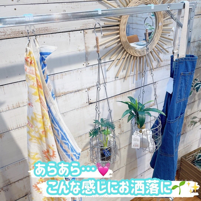 画像1453
