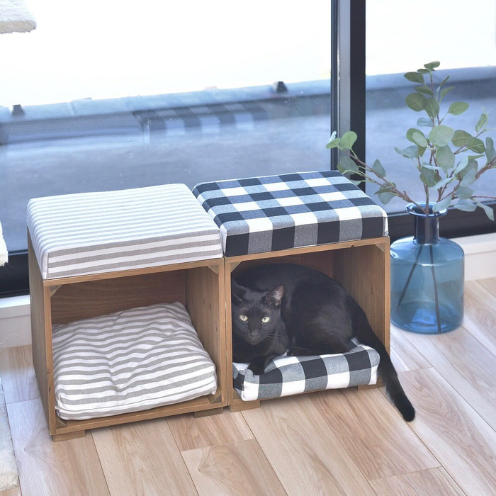 画像1494