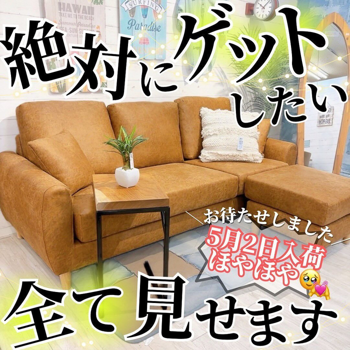 画像1769