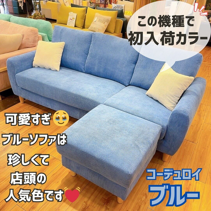 画像1775