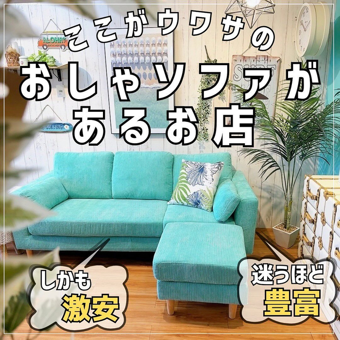画像2042