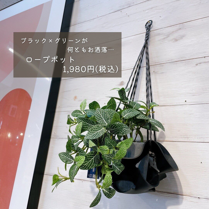 画像2150