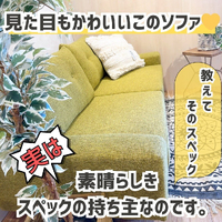 画像2204