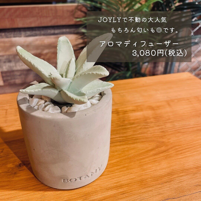画像2244