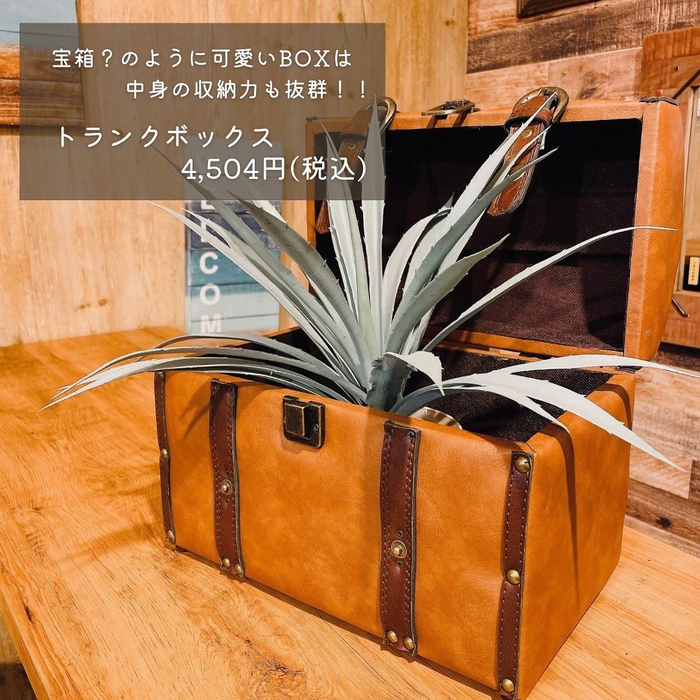 画像2245