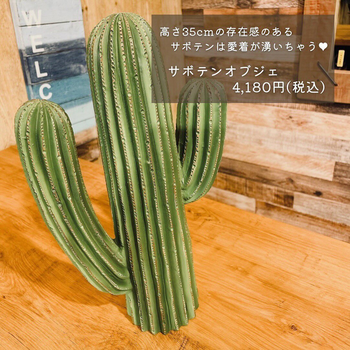 画像2252