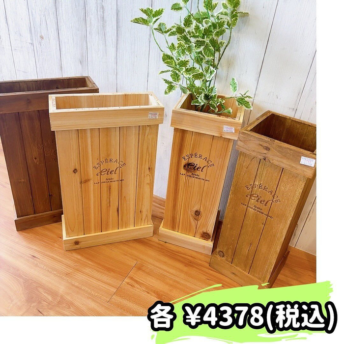 画像2258