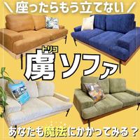 画像2297