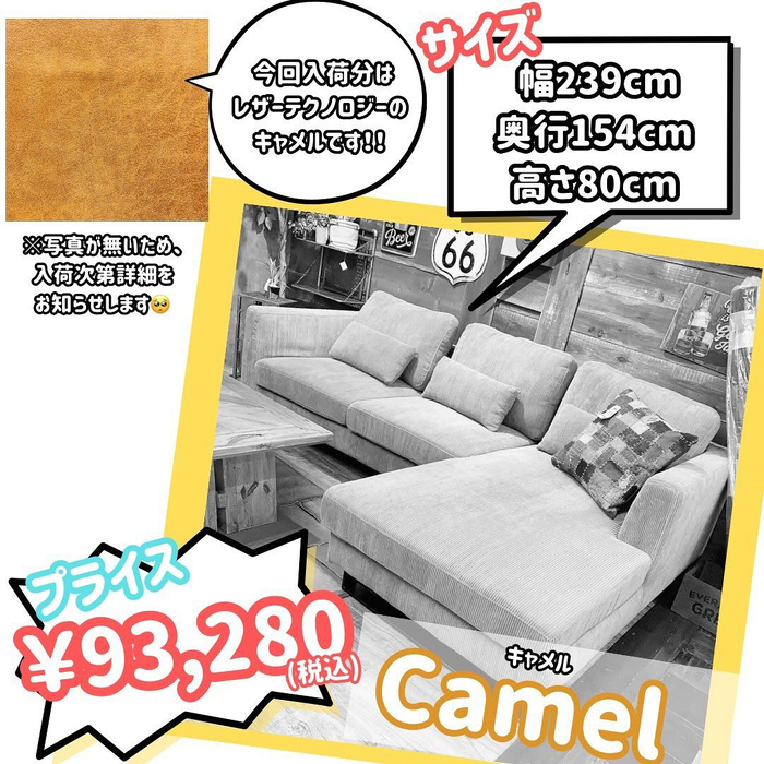 画像2494