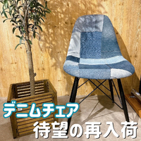 画像2519