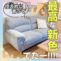 画像253