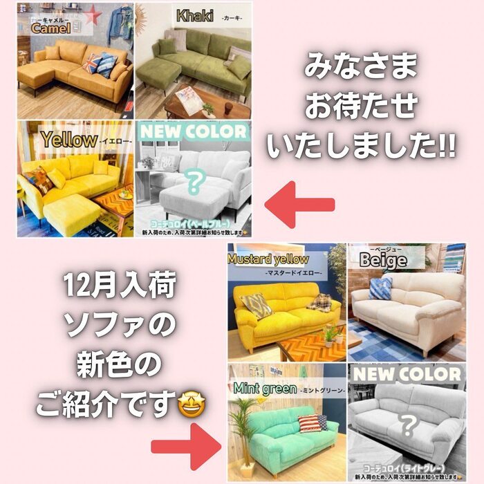 画像254