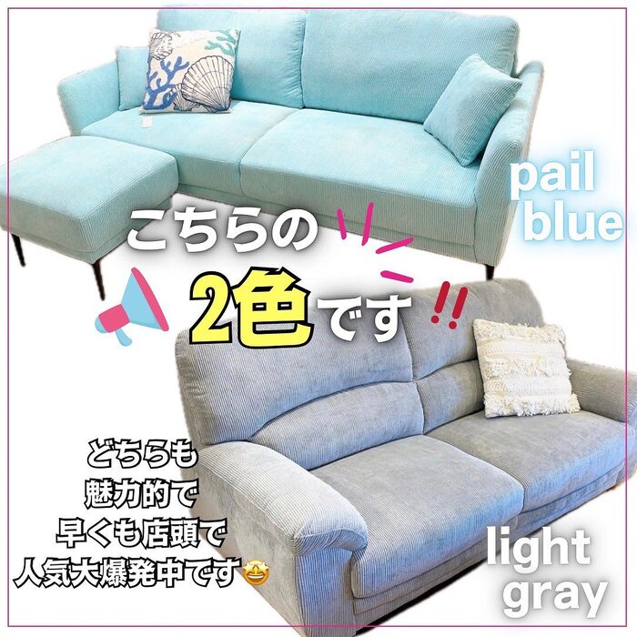 画像255
