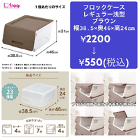 画像2597