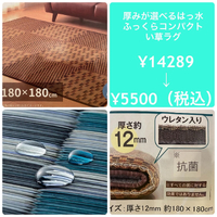 画像2645
