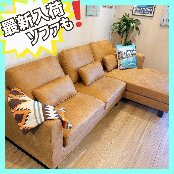 画像2657