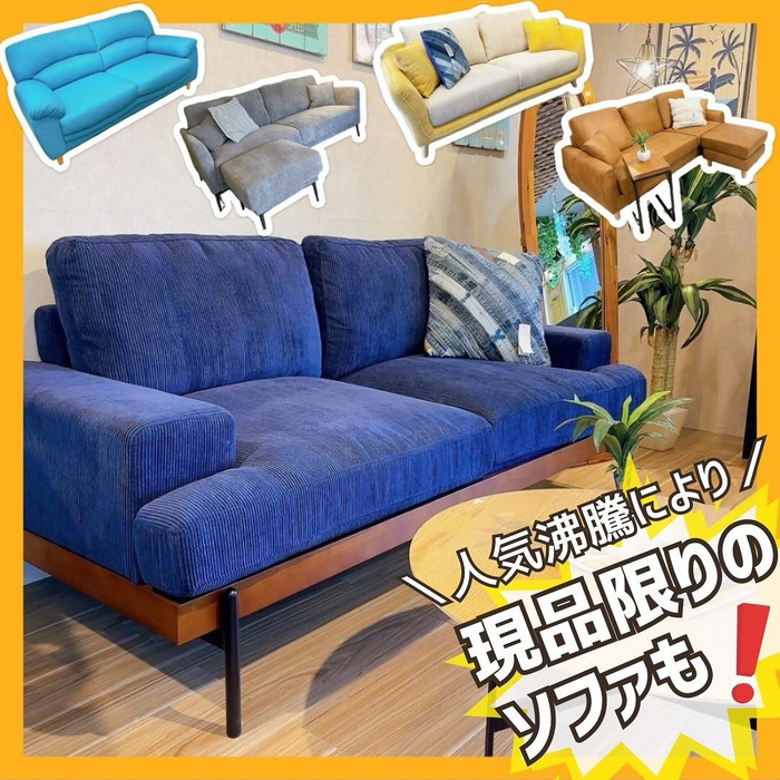 画像2658