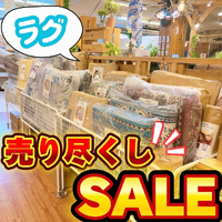 画像2684