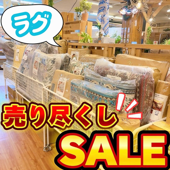 画像2684