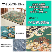 画像2686
