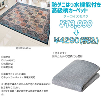 画像2688