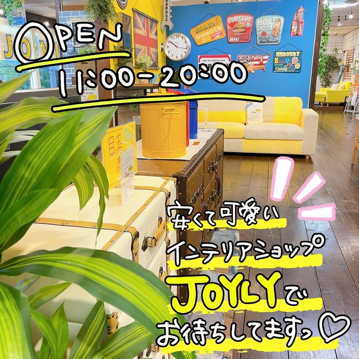 画像2724