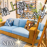 画像2864