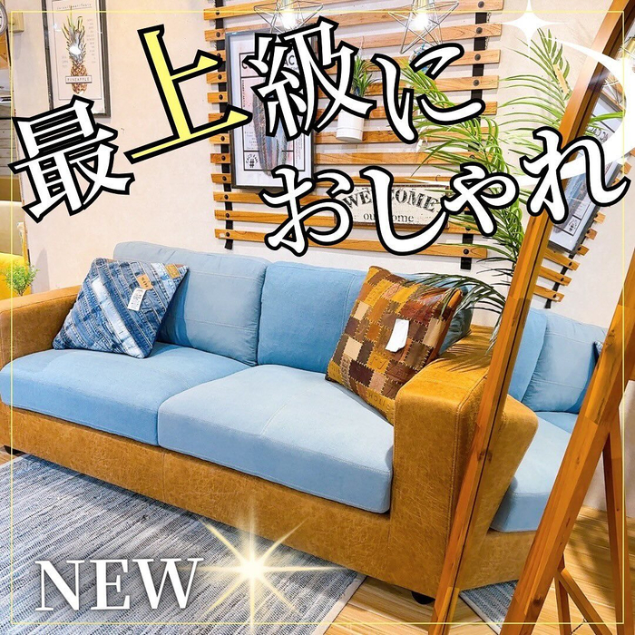 画像2864