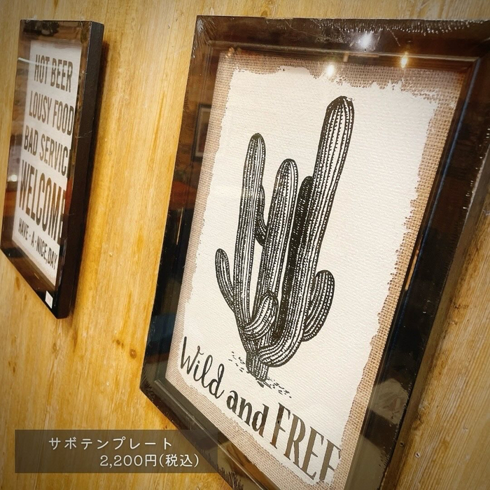 画像2897