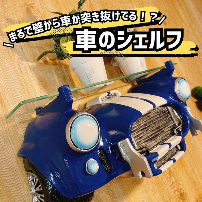 画像2926