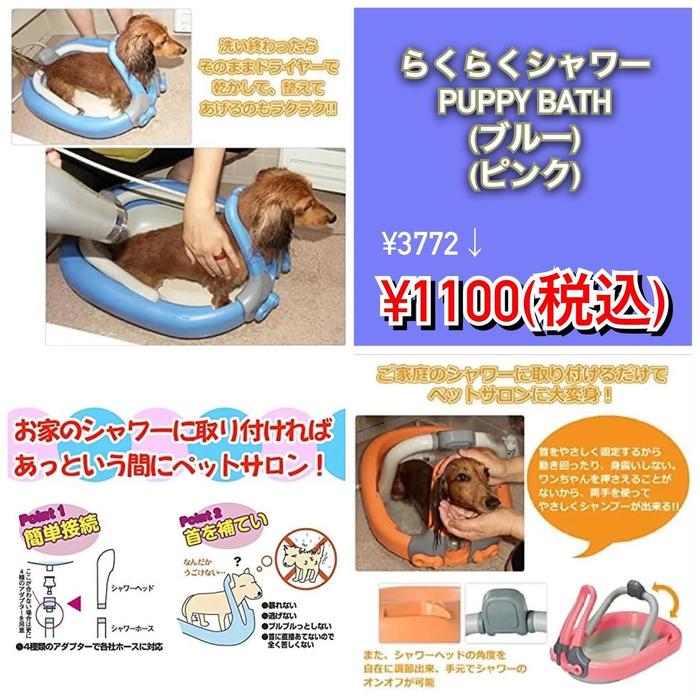 画像2987