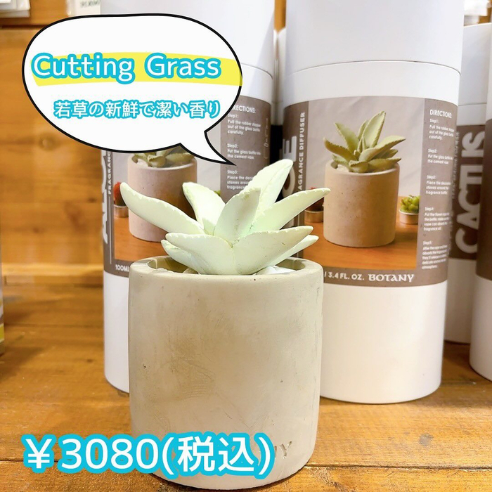 画像3006