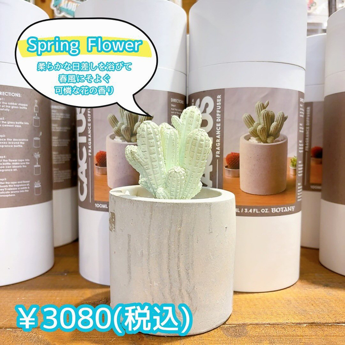 画像3007