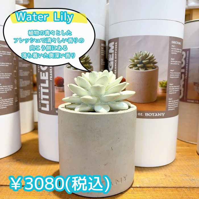 画像3008