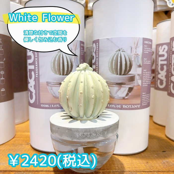 画像3009
