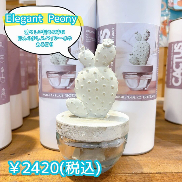 画像3010