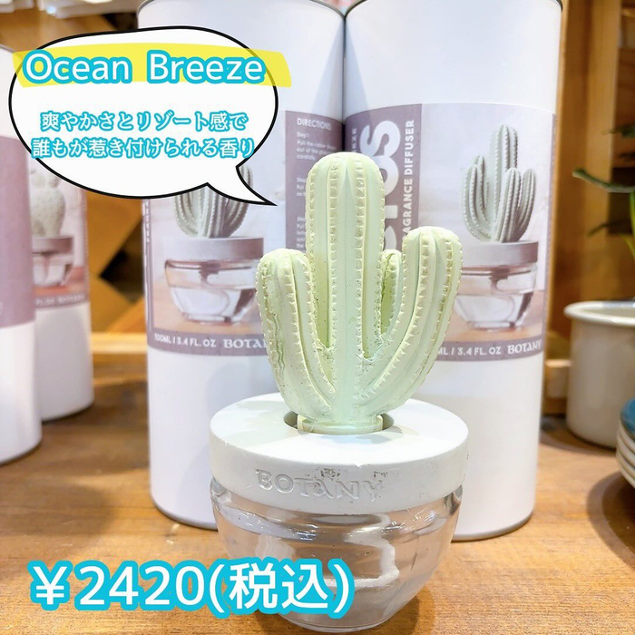 画像3011