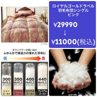 画像3037