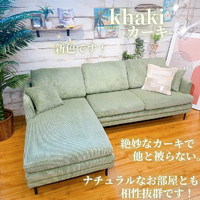 画像3052