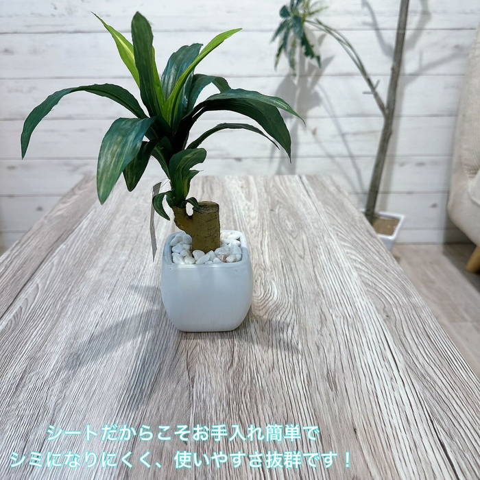 画像3069