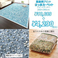 画像3079